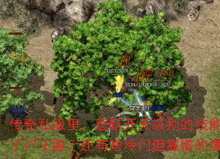 ˽ŭն켶ļ飬ʬɶŵ׵ıû