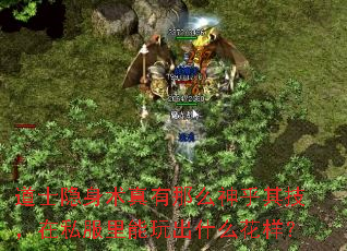 ʿô似˽ʲô