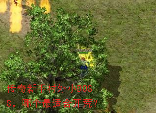 ִСBOSSĸʺϿģ