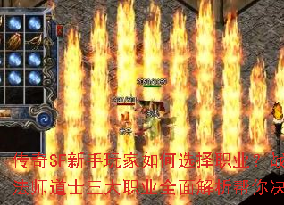 SFѡְҵսʿʦʿְҵȫ