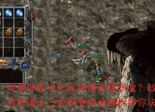 SFѡְҵսʿʦʿְҵȫ