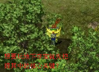 Ҫ¶ᱦȰеĺĹؼ