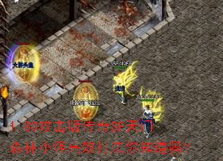 1.80攻击版传奇SF天门森林小怪高效打法你知道吗? 1.80攻击版传奇SF天门森林小怪高效打法你知道吗?