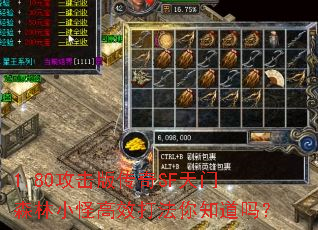 1.80攻击版传奇SF天门森林小怪高效打法你知道吗? 1.80攻击版传奇SF天门森林小怪高效打法你知道吗?