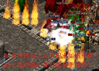 ·˫˫ְҵδ䣿սʿʦʿĶϸǿƣ