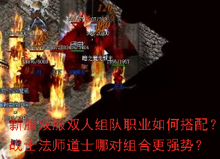 ·˫˫ְҵδ䣿սʿʦʿĶϸǿƣ