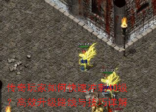 οٳ40Ч·뼼