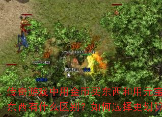 ϷýԪʲôѡ㣿