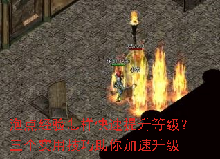 泡点经验怎样快速提升等级?三个实用技巧助你加速升级 泡点经验怎样快速提升等级?三个实用技巧助你加速升级