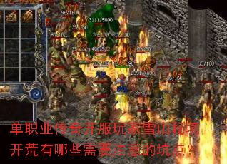 单职业传奇开服玩家雪山秘境开荒有哪些需要注意的坑点? 单职业传奇开服玩家雪山秘境开荒有哪些需要注意的坑点?