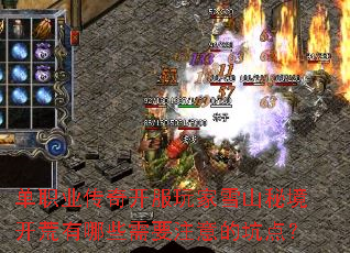 单职业传奇开服玩家雪山秘境开荒有哪些需要注意的坑点? 单职业传奇开服玩家雪山秘境开荒有哪些需要注意的坑点?