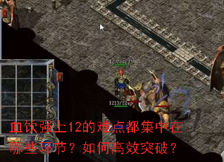 血饮强上12的难点都集中在哪些环节?如何高效突破? 血饮强上12的难点都集中在哪些环节?如何高效突破?