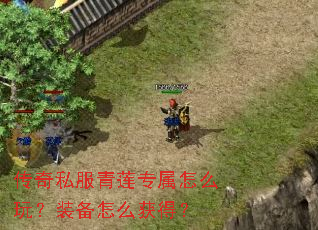 传奇私服青莲专属怎么玩?装备怎么获得? 传奇私服青莲专属怎么玩?装备怎么获得?