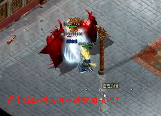 道士练级时有哪些讲究和技巧? 道士练级时有哪些讲究和技巧?