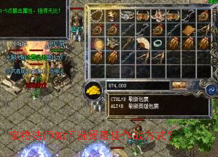 宠物法师如何选择最佳作战方式? 宠物法师如何选择最佳作战方式?