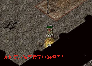 如何获取皓宇传奇中的神兽? 如何获取皓宇传奇中的神兽?