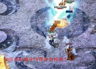 如何获取皓宇传奇中的神兽? 如何获取皓宇传奇中的神兽?