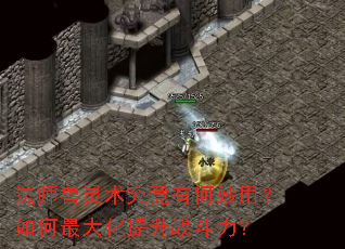 法师兽灵术究竟有何妙用?如何最大化提升战斗力? 法师兽灵术究竟有何妙用?如何最大化提升战斗力?