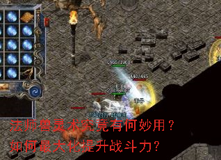 法师兽灵术究竟有何妙用?如何最大化提升战斗力? 法师兽灵术究竟有何妙用?如何最大化提升战斗力?