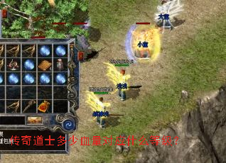 传奇道士多少血量对应什么等级? 传奇道士多少血量对应什么等级?
