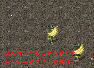 皇城传奇私服攻略秘籍怎么用?新手必看技巧有哪些? 皇城传奇私服攻略秘籍怎么用?新手必看技巧有哪些?