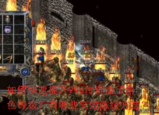 ��ο�������996������ӽ�ɫ�ȼ�������Щ��Ч����������