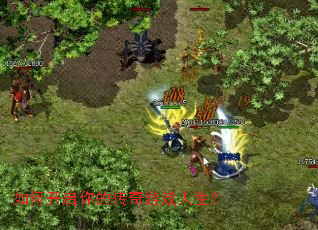 如何开启你的传奇游戏人生? 如何开启你的传奇游戏人生?