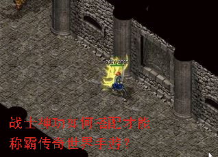 战士神功如何搭配才能称霸传奇世界手游? 战士神功如何搭配才能称霸传奇世界手游?