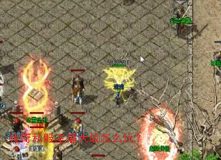 ����˽��������ս��ô�棿