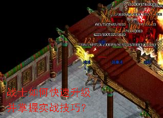 սʿ��ο�������������ʵս���ɣ�