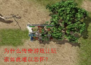 Ϊʲô������Ϸ������������������