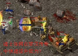 ��ʿ����ڳ��������п�������ʵ����