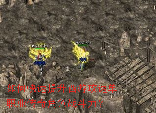 ��ο����������ι��ٵ�ְҵ�����ɫս������