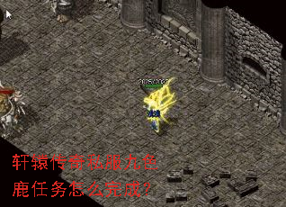 ��ԯ����˽����ɫ¹������ô��ɣ�