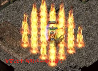 ����սʿ����Щ��Ҫ���ܣ�