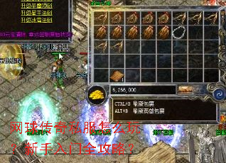 网球传奇私服怎么玩?新手入门全攻略? 网球传奇私服怎么玩?新手入门全攻略?