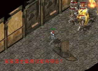 ������ʿ���ü�������Щ��