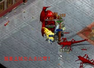 ����������ôȥ���棿