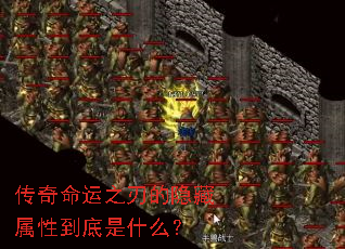 ��������֮�е��������Ե�����ʲô��