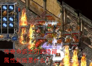 ��������֮�е��������Ե�����ʲô��