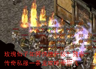 õ��������ο������������Ҵ���˽��һ�������Դ����