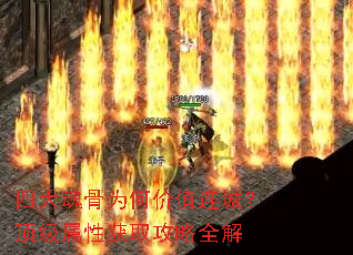 �Ĵ���Ϊ�μ�ֵ���ǣ��������Ի�ȡ����ȫ��