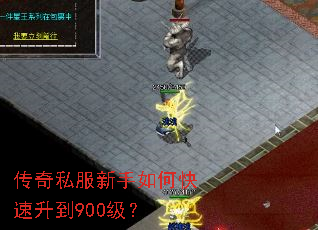 ����˽��������ο�������900����