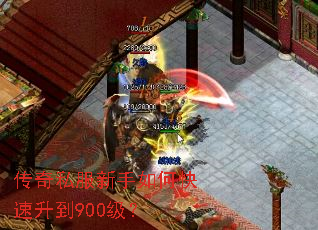 ����˽��������ο�������900����