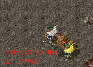 ����˽��������ο�������900����