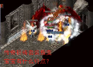 ����������װ�ѱ䱦����ʲô�ص㣿