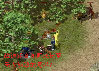 ս�������γɳ��������ܵеľ��磿