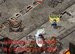 ��ο��ټ���1.80�ϻ�����sf�ĺ��ſ������꼤�飿