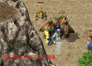 ���������������緭�̣�