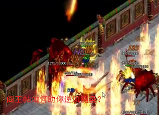 ���������������緭�̣�